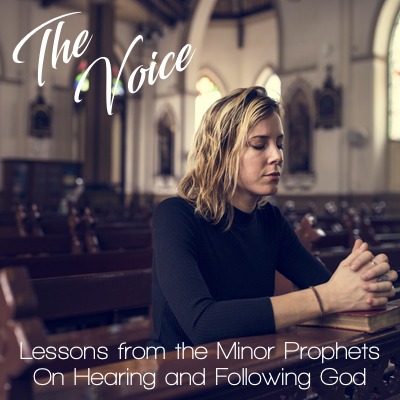 The Voice Square 400x400